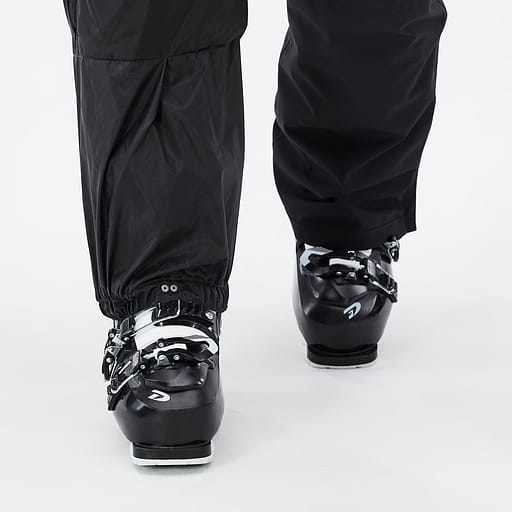 Elastische Sneeuwvanger