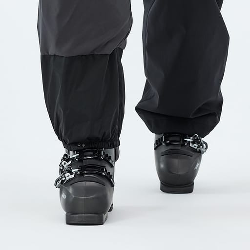 Elastische Sneeuwvanger