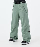 Big W Snowboard Broek Dames