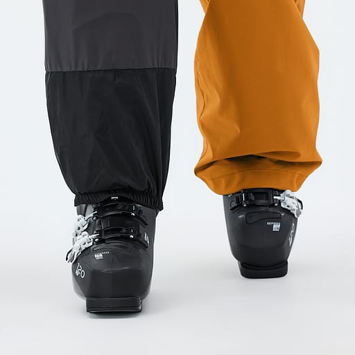 Elastische Sneeuwvanger