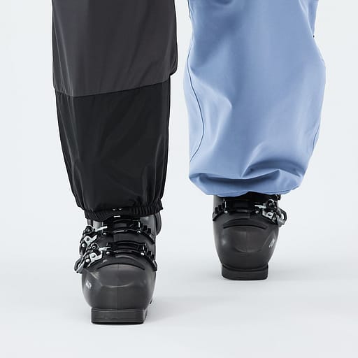 Elastische Sneeuwvanger