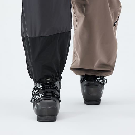Elastische Sneeuwvanger