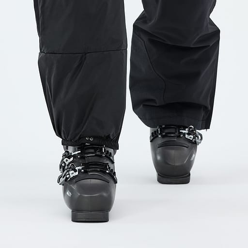Elastische Sneeuwvanger
