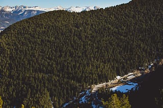 Horizon, Arinsal